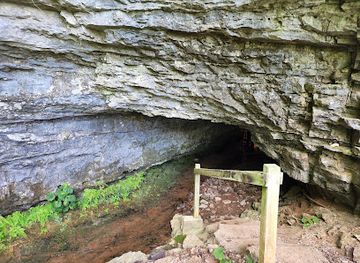 tennessee/northern-middle-tennessee/landmark/bell-witch-cave