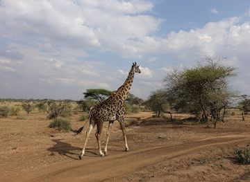 tanzania/moshi/landmark/maua-adventures