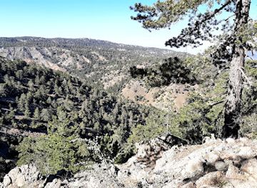 cyprus/troodos/landmark/troodos-forest