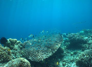 indonesia/pulau-bunaken/landmark/bunaken-marine-park