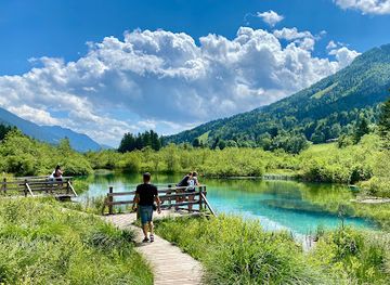 slovenia/sava/landmark/zelenci-nature-reserve