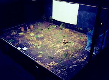 togo/mango/landmark/centre-culturel-denyigba