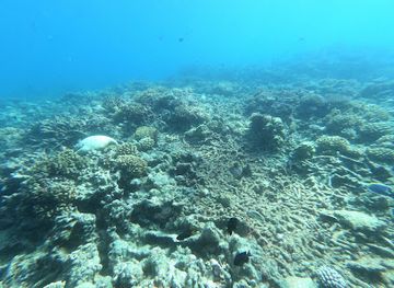 maldives/huvadhoo-atoll/landmark/bodu-helun-thila