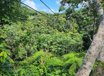 puerto-rico/yunque-national-forest/landmark/el-yunque-rainforest-corcovado-adventure-zipline-park