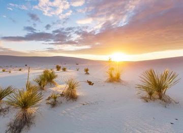 new-mexico/white-sands/landmark/white-sands-trading-company