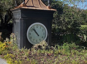 south-carolina/north-charleston/landmark/angel-oak-tree