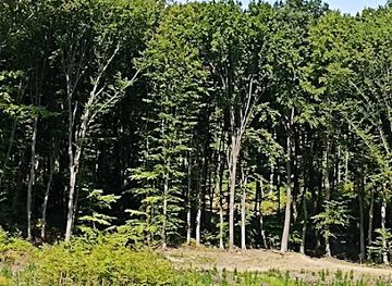 hungary/mecsek-mountains/landmark/spiral-viznyelo