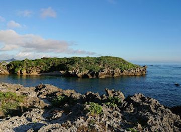 japan/okinawa/landmark/bisezaki