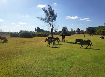 zambia/lusaka-national-park/landmark/pa-zuri-outdoor-park