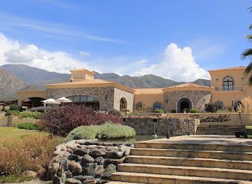 argentina/cafayate/landmark/piattelli-vineyards