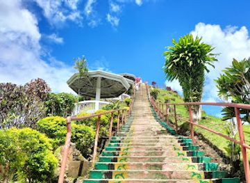 philippines/bohol/landmark/chocolate-hills-natural-monument