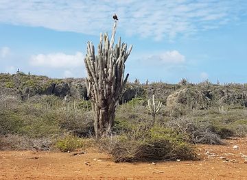 curacao/tera-kora/landmark/vlakte-di-san-pedro