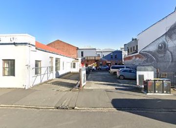 new-zealand/dunedin/landmark/hedhehog-for-ukraine