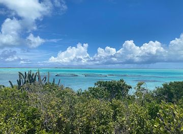 turks-and-caicos-islands/south-caicos/landmark/bird-rock-trail