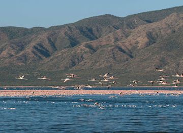 kenya/baringo-basin/landmark/lake-baringo-kenya