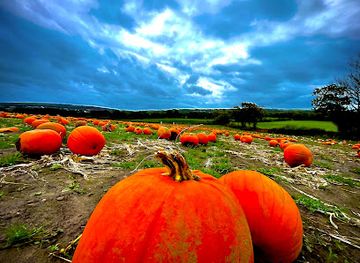 united-kingdom/west-glamorgan/landmark/penyfodau-fawr-farm