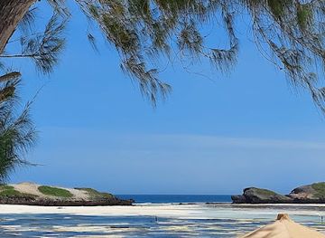 kenya/watamu/landmark/papa-remo-beach