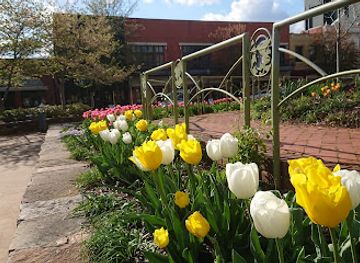 arkansas/northwest-arkansas/landmark/square-gardens