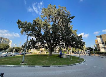 israel/tel-aviv/landmark/kikar-hashivah