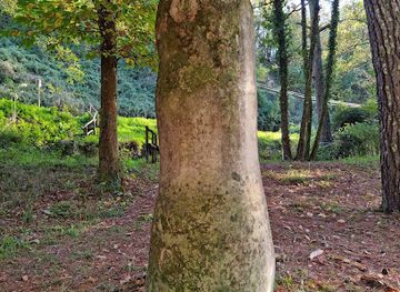 italy/lunigiana/landmark/parco-statue-stele