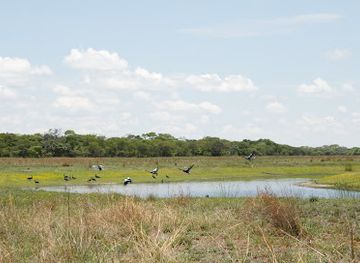 zambia/bangweulu-wetlands/landmark/liuwa-plain-national-park