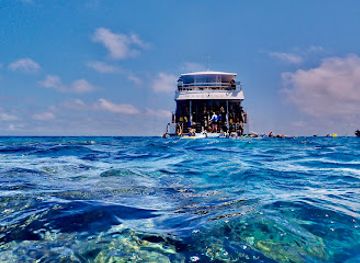 australia/port-douglas/landmark/wavelength-reef-cruises