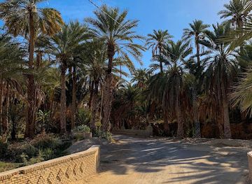 tunisia/the-djerid/landmark/djerid