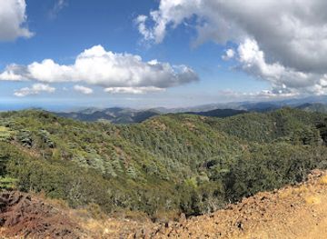 cyprus/kykkos-monastery/landmark/cedar-valley