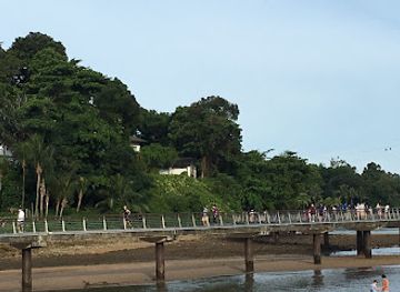 singapore/labrador-nature-reserve/landmark/berlayer-creek-boardwalk