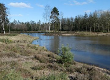 netherlands/betuwe/landmark/forest-and-carparks-closed-from-sunset-till-sunrise
