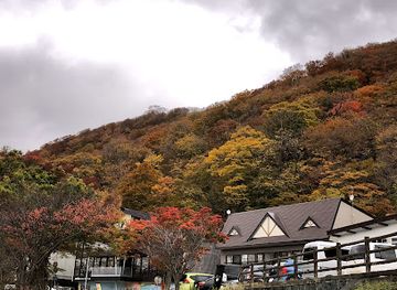 japan/tohoku/landmark/oirase-keiryu-gorge