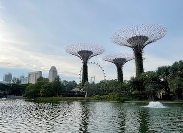 singapore/east-coast-park/landmark/supertree-grove-viewpoint