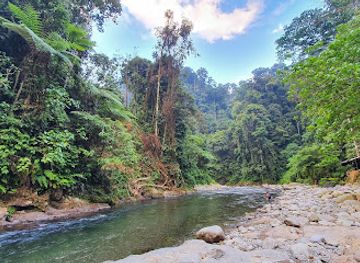 indonesia/sumatra/landmark/mount-leuser-national-park