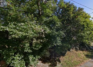 rhode-island/narragansett/landmark/rhode-island-historical-cemetery-narragansett-no-15