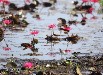india/andaman-and-nicobar-islands/landmark/passage-island