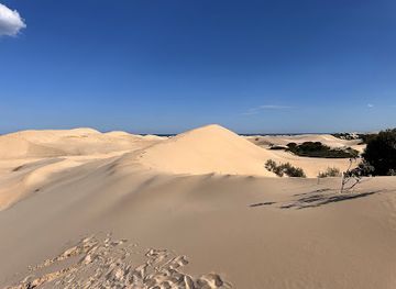 south-africa/port-elizabeth/landmark/alexandria-dune-field
