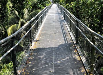 singapore/southern-ridges/landmark/canopy-walk