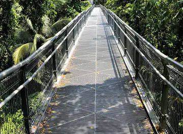 Canopy Walk
