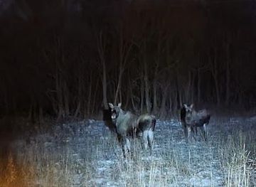 norway/troms/landmark/ryatunnelen