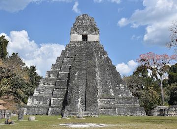 guatemala/flores/landmark/the-great-jaguar-tikal