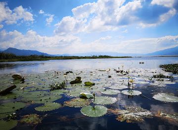 honduras/lago-de-yojoa/landmark/el-cortijo-del-lago