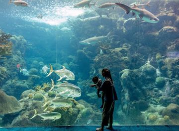 florida/tampa-bay-area/landmark/the-florida-aquarium
