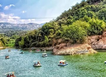 lebanon/zgharta/landmark/boro-s-resto-cafe