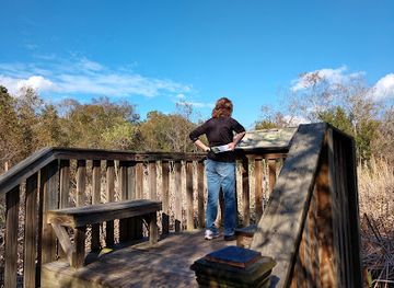 south-carolina/hilton-head-island/landmark/sea-pines-forest-preserve