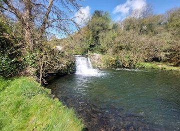ireland/county-kilkenny/landmark/poulanassy-waterfall