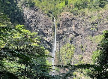 french-polynesia/tahiti/landmark/cascade-de-fautaua