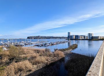 united-kingdom/cardiff/attraction/hamadryad-park