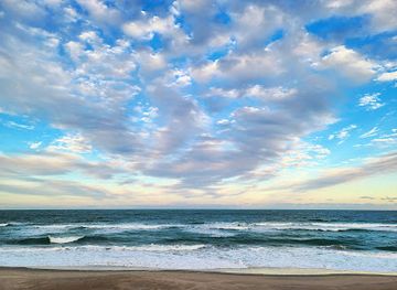 florida/space-coast/landmark/coconut-point-sanctuary