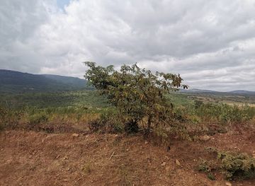 tanzania/coastal-zone/landmark/kondoa-irangi-rock-paintings