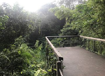 singapore/bukit-timah-nature-reserve/landmark/wallace-trail